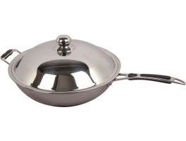 INDUCTIE WOKPAN