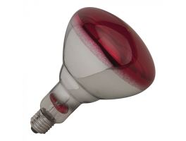710205 - Warmtelamp 250W - Rood