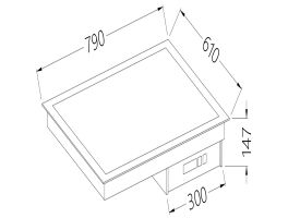 Vitrokeramisch element wit 2 GN 1/1