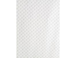 Tafelmat voor eenmalig gebruik Wit - 300x400mm (500 stuks)