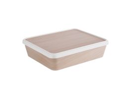 APS bento box 300x250mm